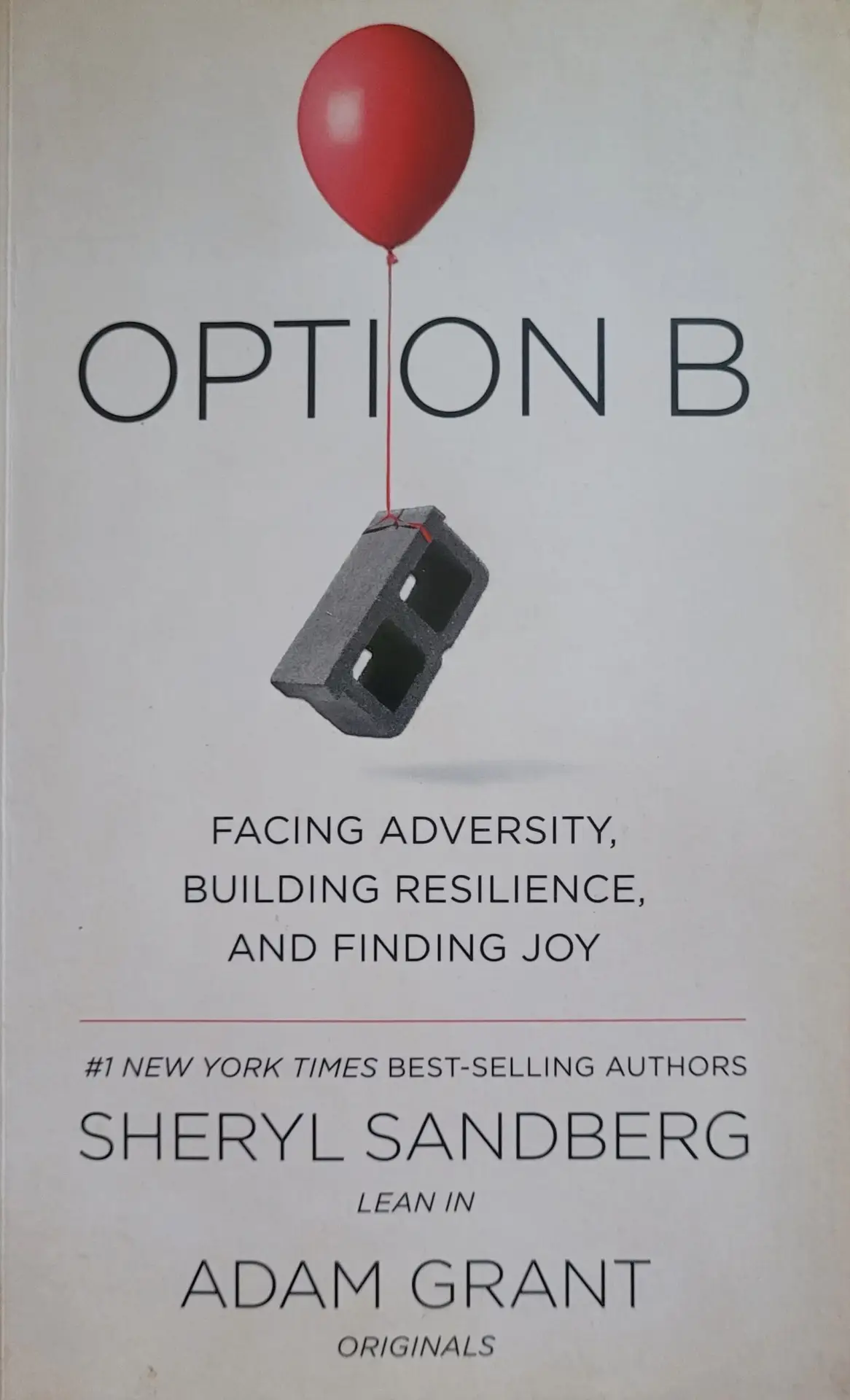 Grant Adam - Option B